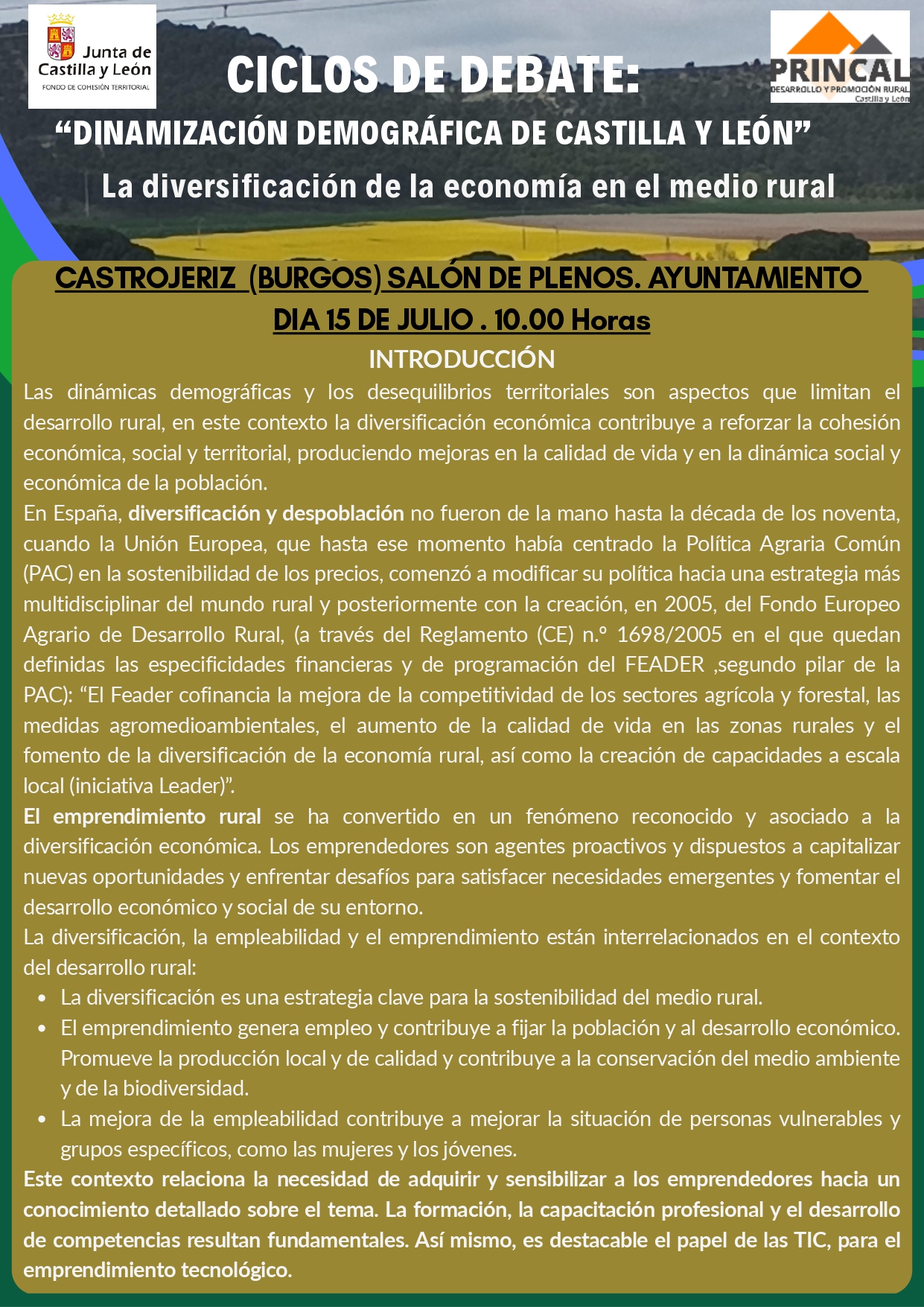 FLYERS DIVERSIFICACION CASTRO_pages-to-jpg-0001